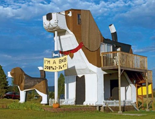 dog park inn