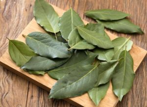 manfaat daun salam untuk kesehatan 