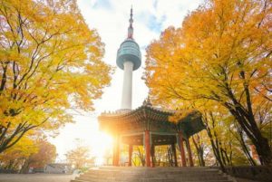 destinasi liburan gratis di Korea Selatan