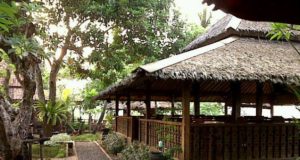 restoran bertema alam di Tangerang
